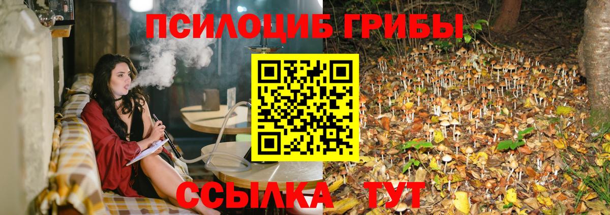Бугуруслан  Псилоцибиновые грибы GOLDEN TEACHER  Галлюциногенные грибы ЛСД  Вход с VPN 